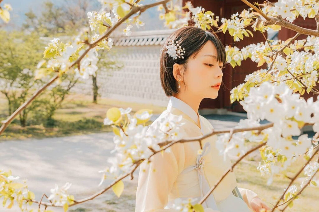 koreaanse bruiden voor huwelijk