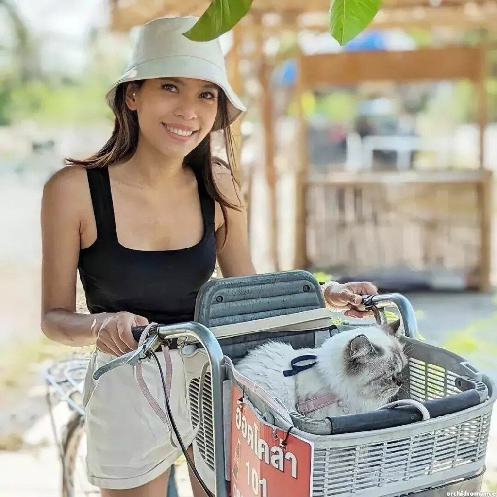 Ratcha Profile image 6